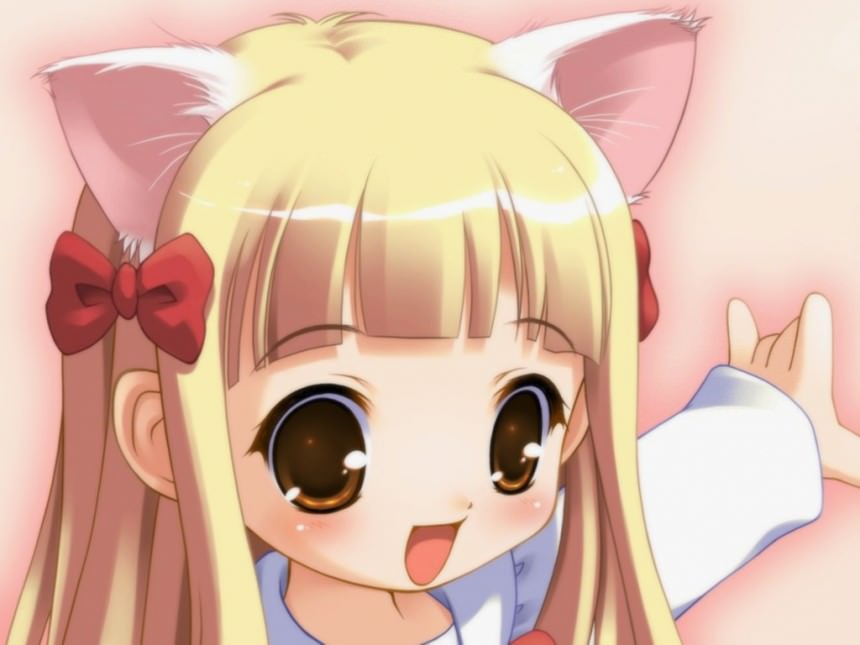  ,    ,  , ,  